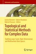 Topological and Statistical Methods for Complex Da