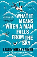 What It Means When a Man Falls From the Sky