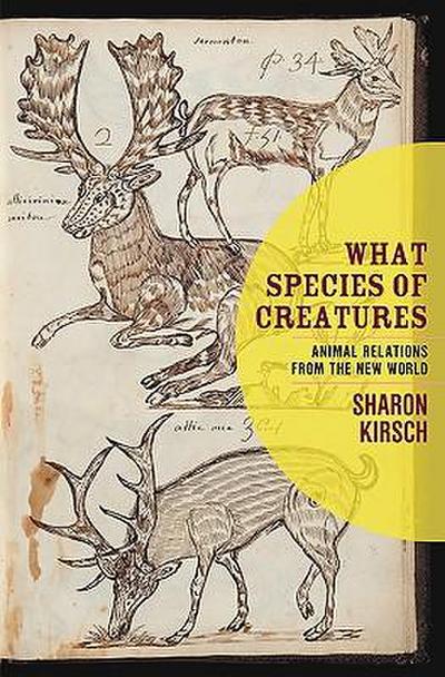 Kirsch, S: What Species of Creatures: Animal Relations from