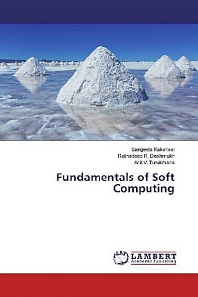 Fundamentals of Soft Computing