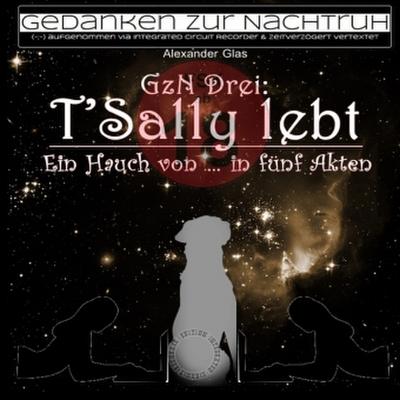 GzN Drei:  T’Sally lebt