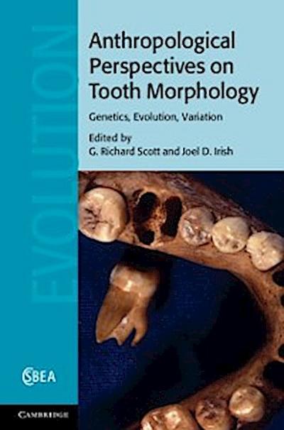 Anthropological Perspectives on Tooth Morphology