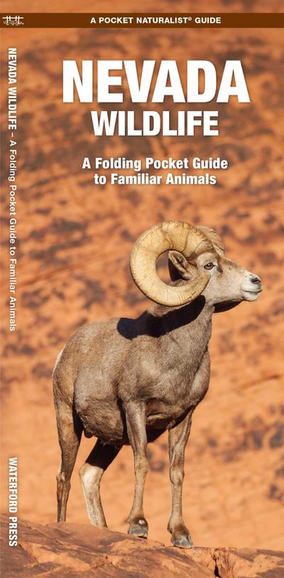 Nevada Wildlife