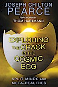Exploring the Crack in the Cosmic Egg