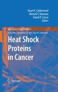 Heat Shock Proteins in Cancer