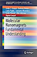 Molecular Nanomagnets