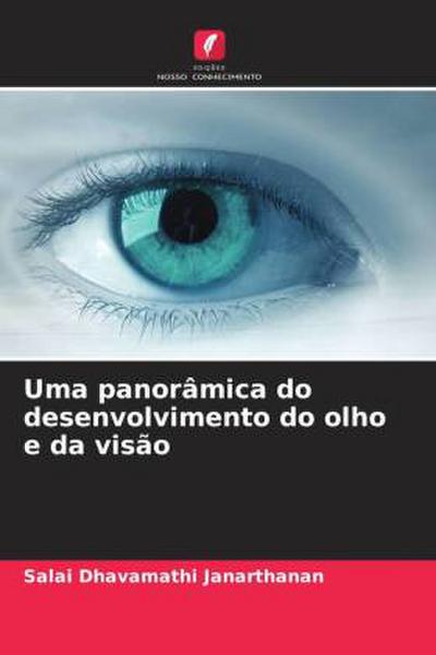 Uma panorâmica do desenvolvimento do olho e da visão