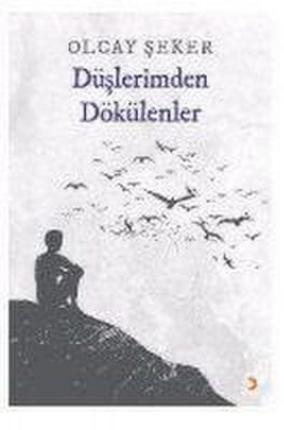 Düslerimden Dökülenler
