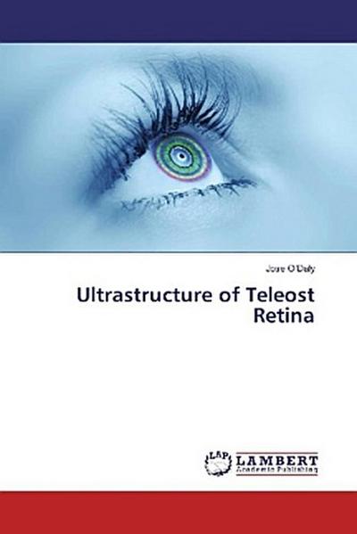 Ultrastructure of Teleost Retina
