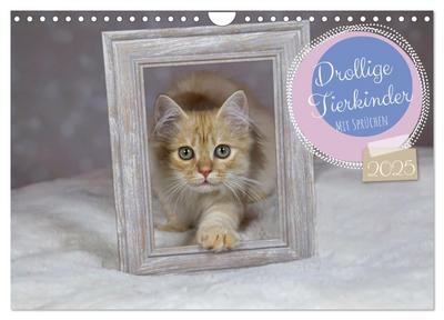 Drollige Tierkinder Mit Sprüchen (Wandkalender 2025 DIN A4 quer), CALVENDO Monatskalender