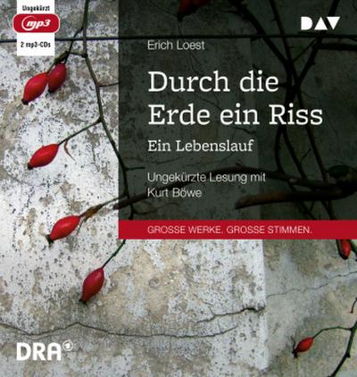 Durch die Erde ein Riss - Ein Lebenslauf,2 Audio-CD, 2 MP3