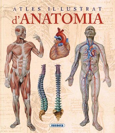 Atles il·lustrat d’anatomia