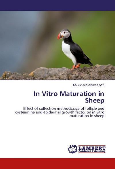 In Vitro Maturation in Sheep