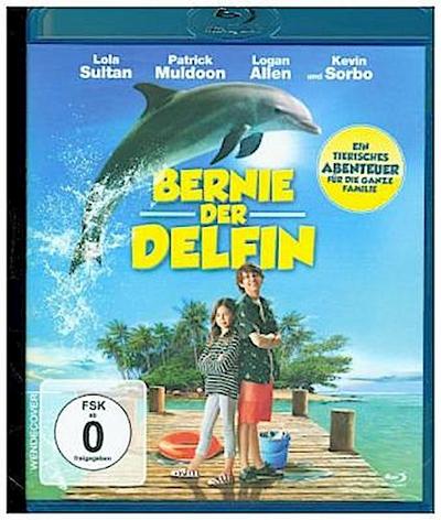 Bernie, der Delfin