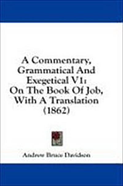 A Commentary, Grammatical And Exegetical V1
