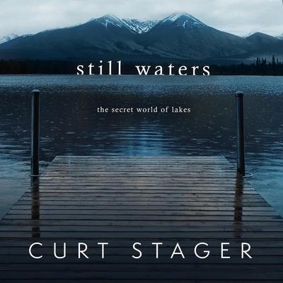 Still Waters Lib/E: The Secret World of Lakes