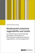 Kindeswohl zwischen Jugendhilfe und Justiz