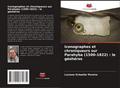 Iconographes et chroniqueurs sur Parahyba (1500-18