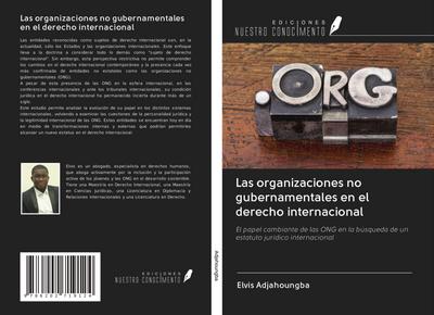 Las organizaciones no gubernamentales en el derecho internacional