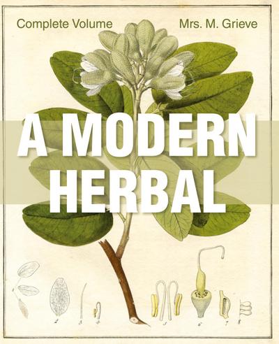 A Modern Herbal