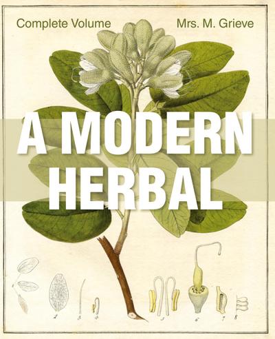 A Modern Herbal: The Complete Edition