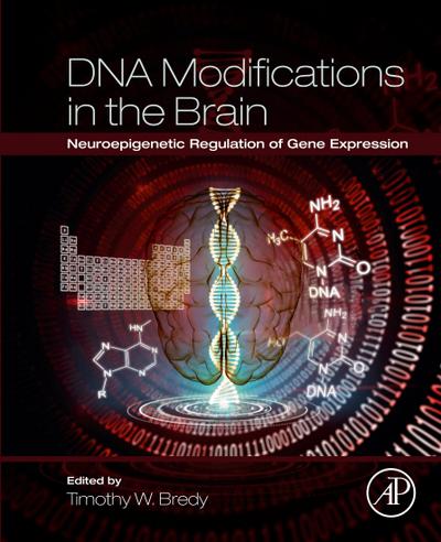DNA Modifications in the Brain