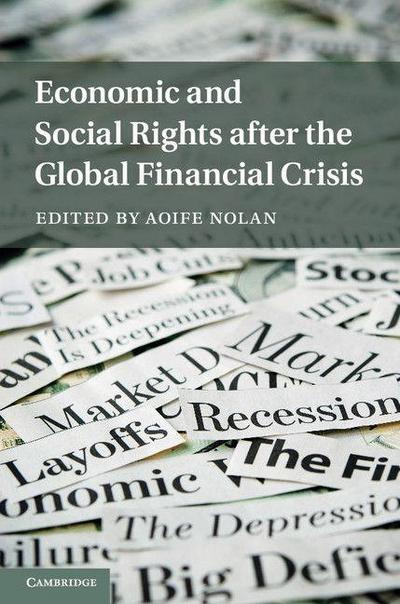 Economic and Social Rights after the Global Financial             Crisis