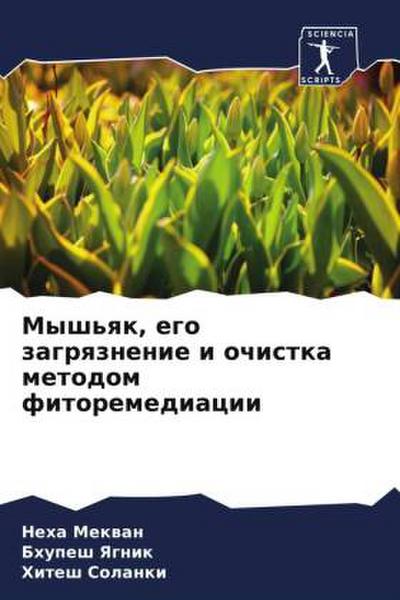 Mysh’qk, ego zagrqznenie i ochistka metodom fitoremediacii