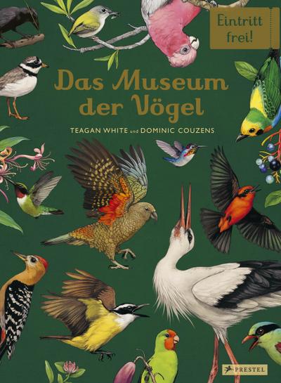 Das Museum der Vögel