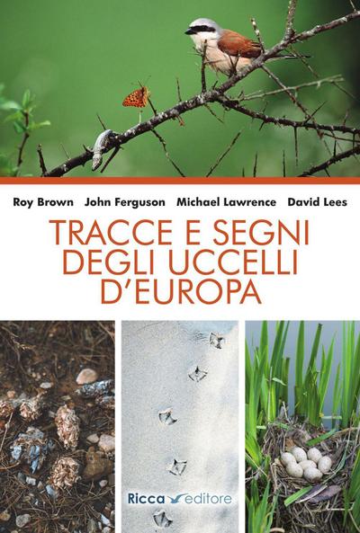 Tracce e segni degli uccelli d’Europa
