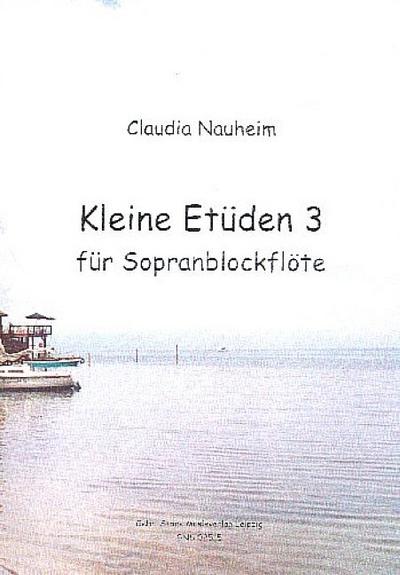 Kleine Etüden Band 3für Sopranblockflöte