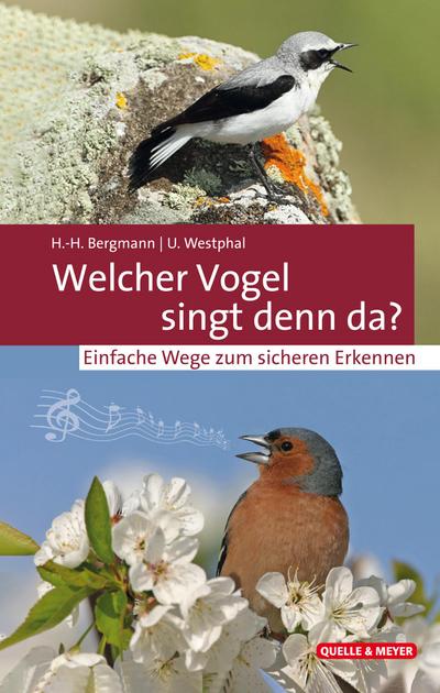 Welcher Vogel singt denn da?