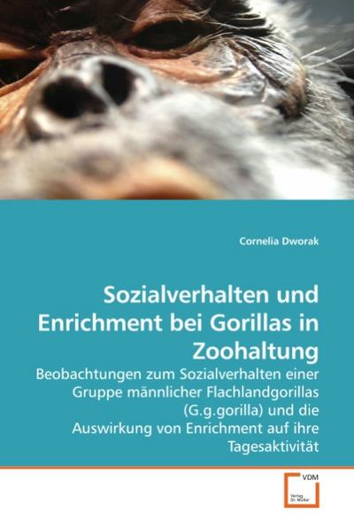 Sozialverhalten und Enrichment bei Gorillas in Zoohaltung