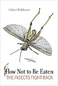 How Not to Be Eaten