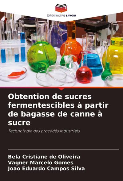 Obtention de sucres fermentescibles à partir de bagasse de canne à sucre