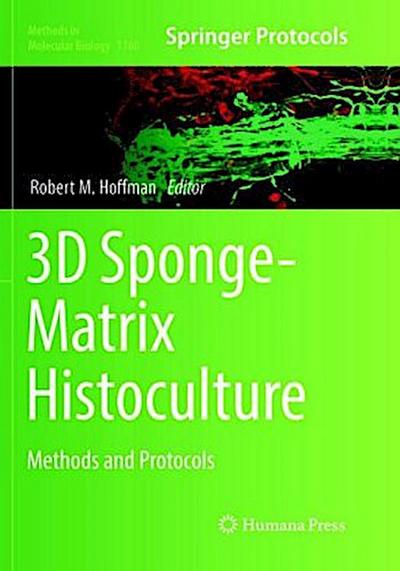3D Sponge-Matrix Histoculture