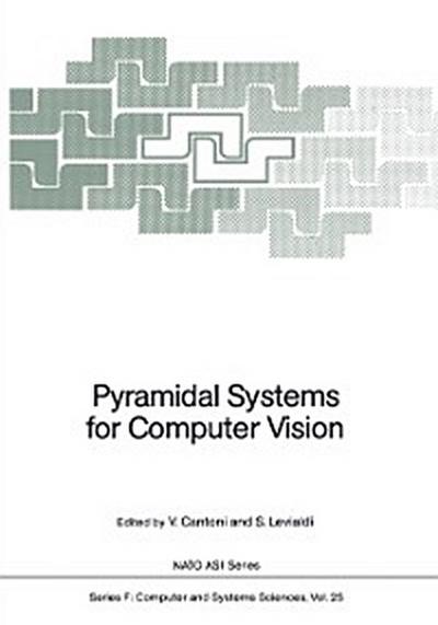 Pyramidal Systems for Computer Vision