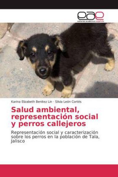 Salud ambiental, representación social y perros callejeros