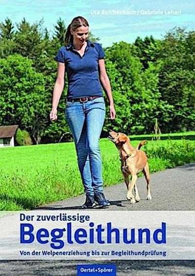 Der zuverlässige Begleithund