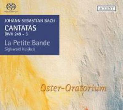 Bach: Cantatas Vol. 13: Bwv 6,249