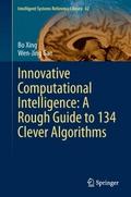 Innovative Computational Intelligence: A Rough Gui