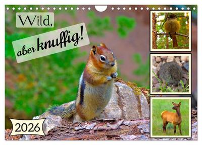 Wild, aber knuffig! (Wandkalender 2026 DIN A4 quer), CALVENDO Monatskalender