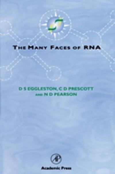 Many Faces of RNA