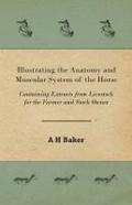 Illustrating the Anatomy and Muscular System of the Horse - Containing Extracts from Livestock for the Farmer and Stock Owner