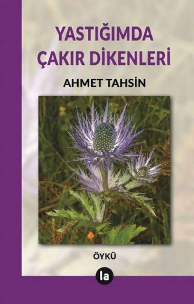 Yastigimda Cakir Dikenleri
