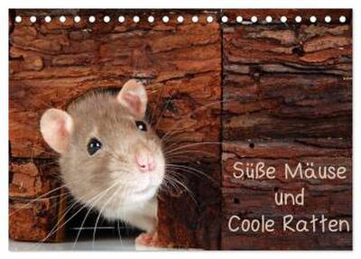 Süße Mäuse und Coole Ratten (Tischkalender 2026 DIN A5 quer), CALVENDO Monatskalender