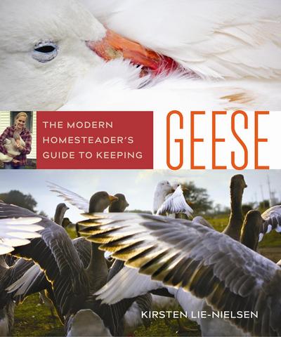 The Modern Homesteader’s Guide to Keeping Geese