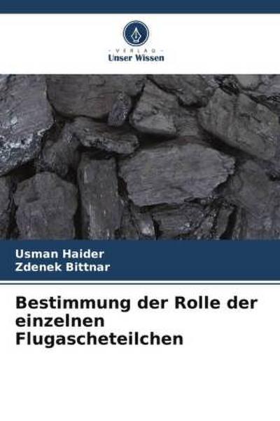 Bestimmung der Rolle der einzelnen Flugascheteilchen