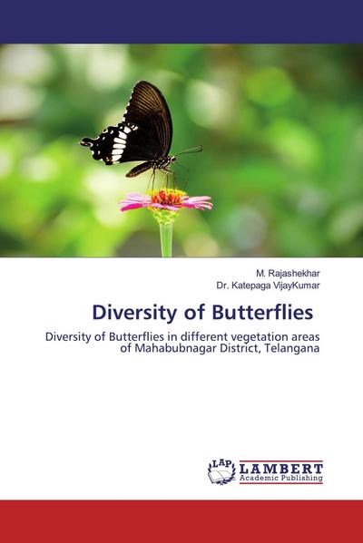 Diversity of Butterflies