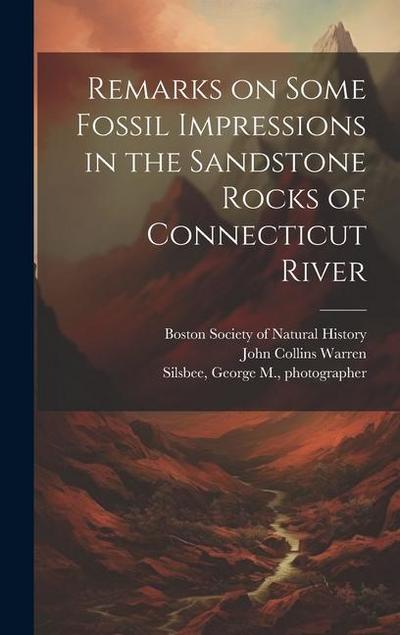 Remarks on Some Fossil Impressions in the Sandstone Rocks of Connecticut River
